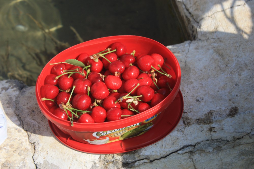 A parting gift for the road by my very generous hosts