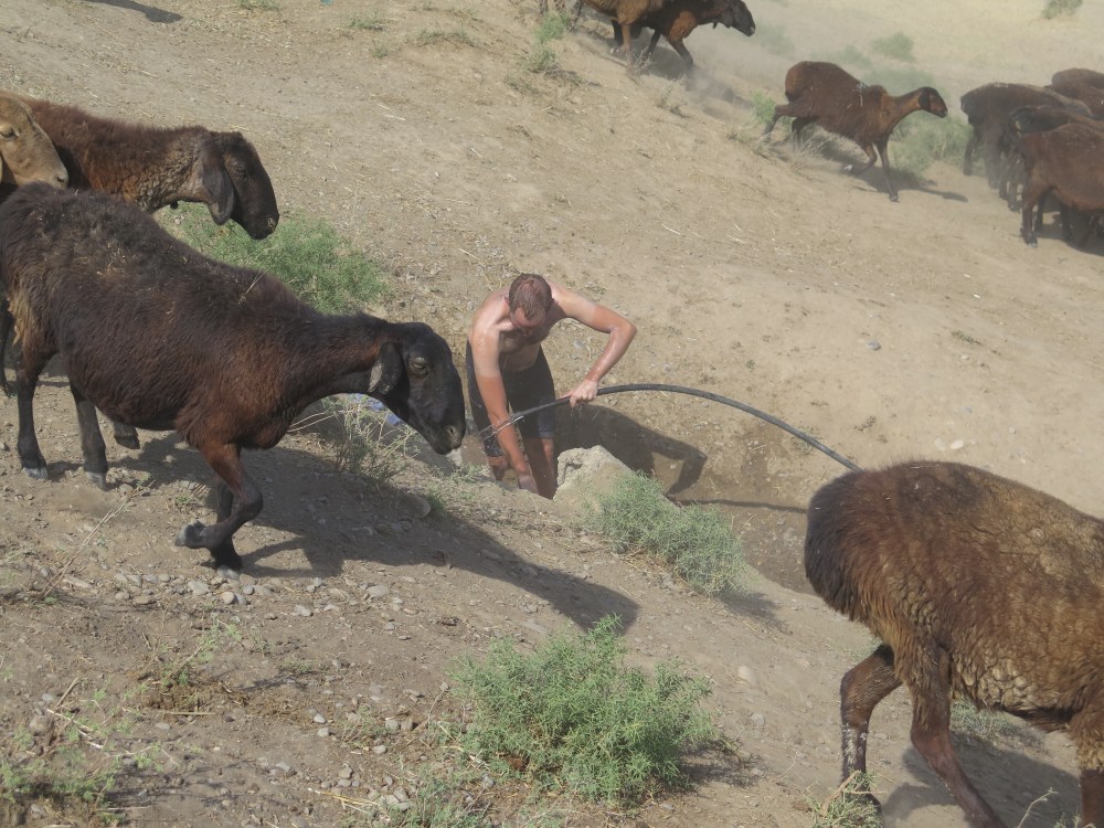 Luckily were able to find water to cool off in, even though we had to share it.