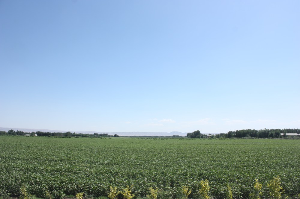 Miles and miles of wetter nothingness