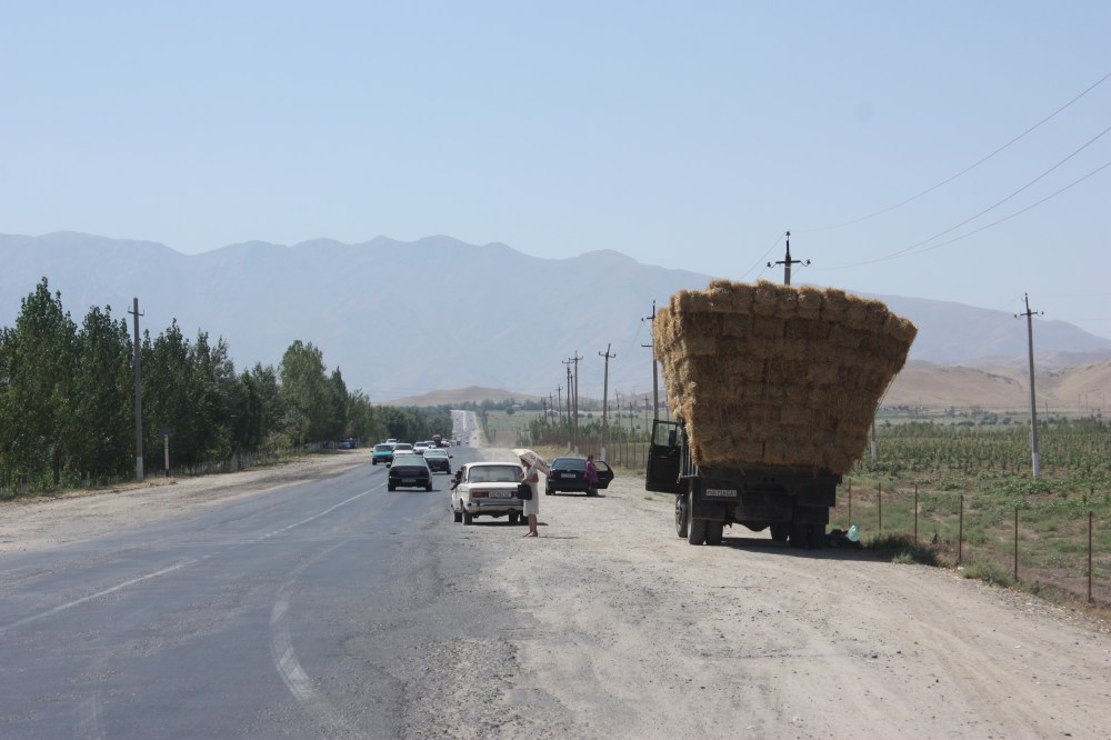 But immediately after leaving Samarkand the silhouettes of mountains appeared in the distance.